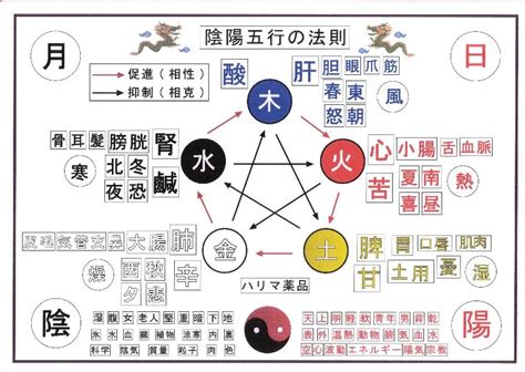 五行 人|人身五行